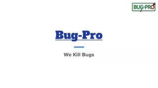 Defend Your Domain: Bug-Pro - Your Trusted Pest Control Solution in Nigeriapdf
