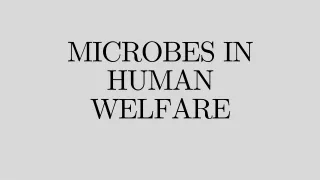 MICROBES IN HUMAN WELFARE - Presentation