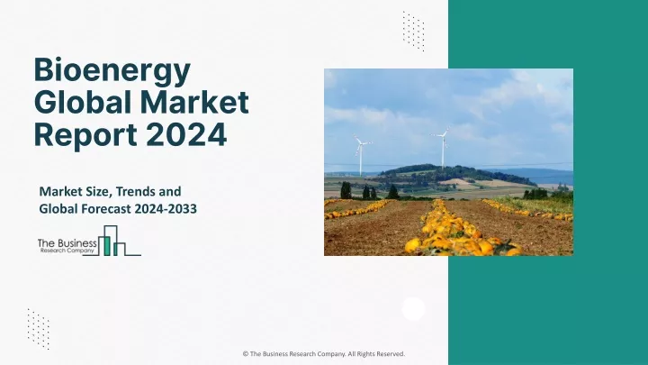 bioenergy global market report 2024
