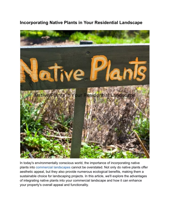 incorporating native plants in your residential