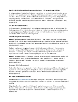 openteq netsuite consultation empowering