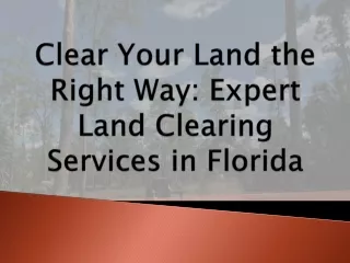 Clear Your Land the Right Way Expert Land Clearing Services in Florida
