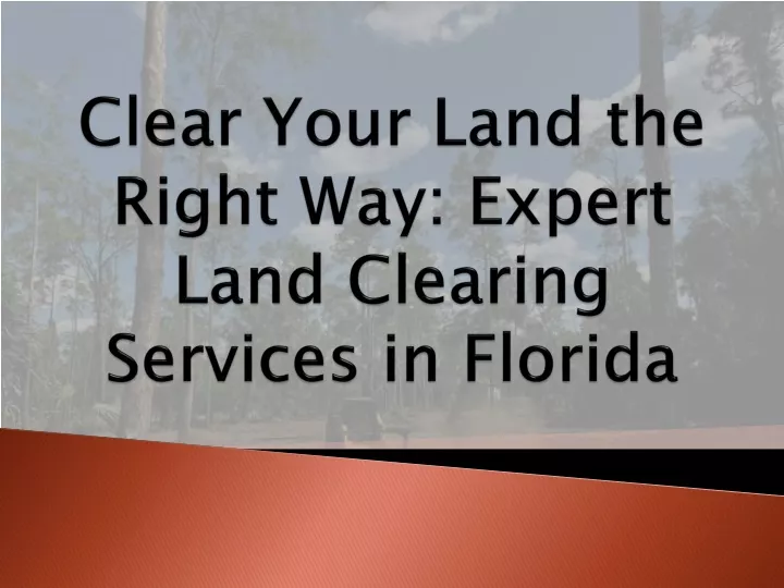 clear your land the right way expert land clearing services in florida
