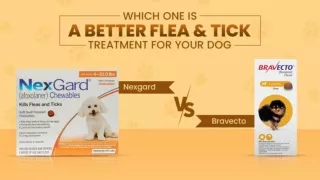 Which One is a Better Flea and Tick Treatment for Your Dog, Nexgard or Bravecto