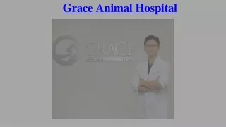 grace animal hospital