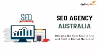 Bridging the Gap Ease of Use and SEO in Digital Marketing