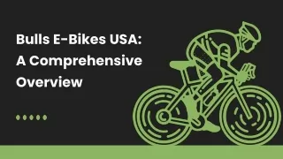 Bulls E-Bikes USA A Comprehensive Overvieworignal