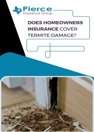 Does Homeowners Insurance Cover Termite Damage - Pierce Insurance