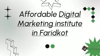 Affordable Digital Marketing institute in Faridkot