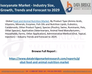 isocyanate market industry size growth trends