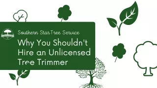 Why You Shouldn't Hire an Unlicensed Tree Trimmer