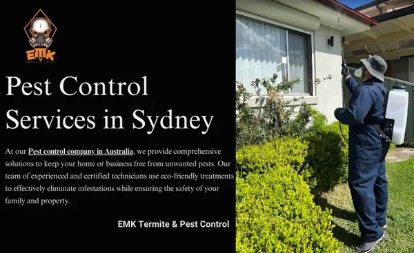 Discover Effective Pest Control Solutions: Read Our PDF Presentation Today!