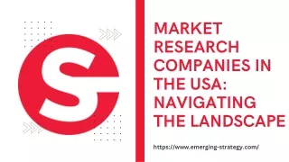 Market Research Companies in the USA Navigating the Landscape