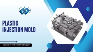 Plastic Injection Mold