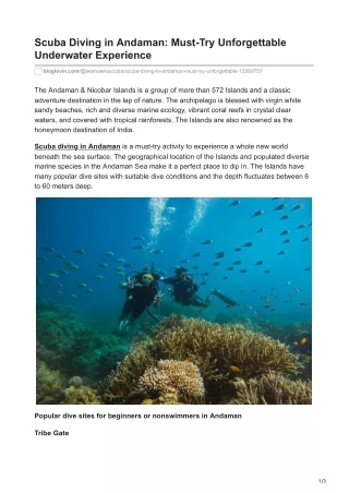 Experience scuba diving at popular dive sites in Andaman