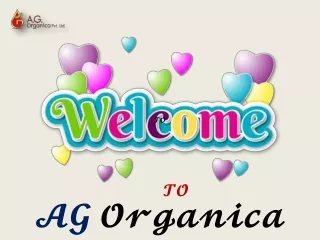 AG Organica: High Quality Lavender Oil Manufacturer & Wholesale Supplier
