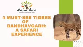 4 Must-See Tigers of Bandhavgarh: A Safari Experience