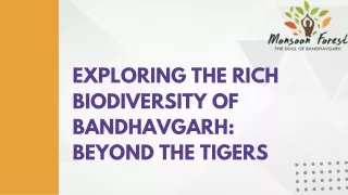 Exploring the Rich Biodiversity of Bandhavgarh: Beyond the Tigers