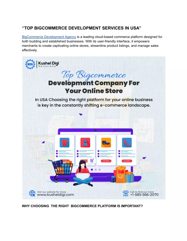 top bigcommerce development services in usa