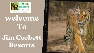 Top 10 Jim Corbett resorts available at the best prices