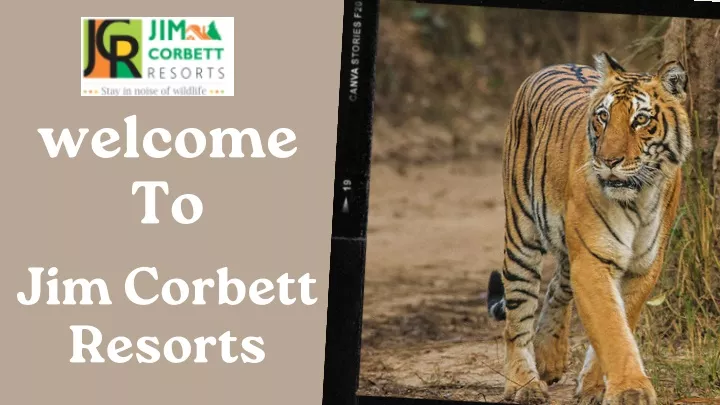 welcome to jim corbett resorts