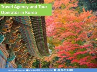 travel agency and tour operator in korea