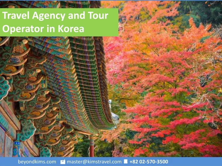 travel agency and tour operator in korea