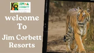 Top 10 Jim Corbett resorts available at the best prices