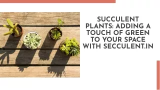 Succulent Sensations: Unleash Your Green Thumb with Secculent Plants