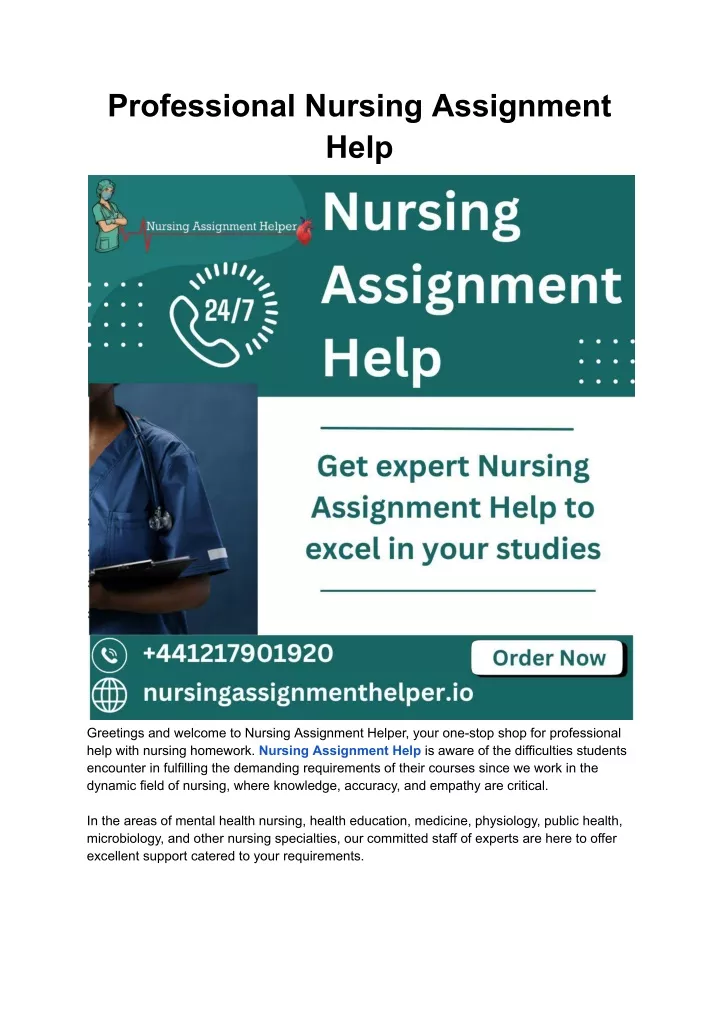 professional nursing assignment help