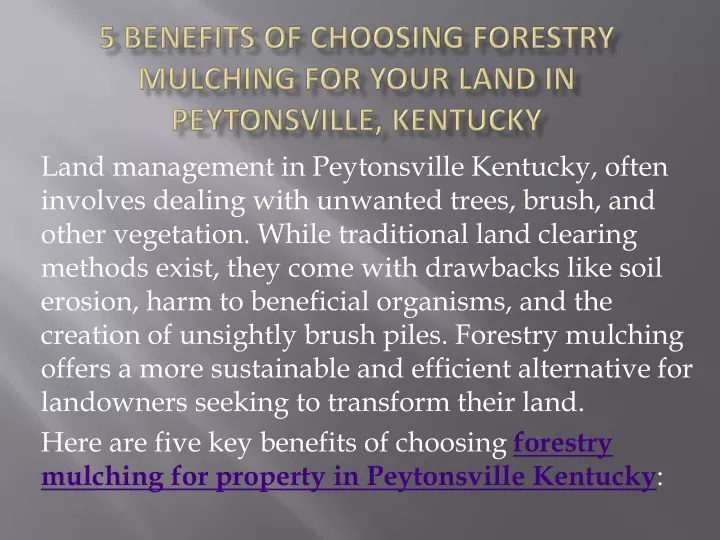 5 benefits of choosing forestry mulching for your land in peytonsville kentucky