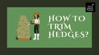 how to trim hedges