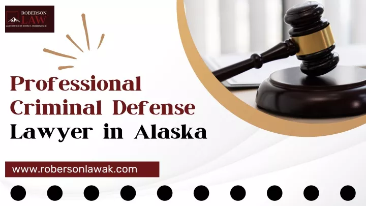 professional criminal defense lawyer in alaska