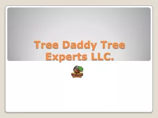 Commercial Tree Removal Near Me | Tree Daddy Tree Experts