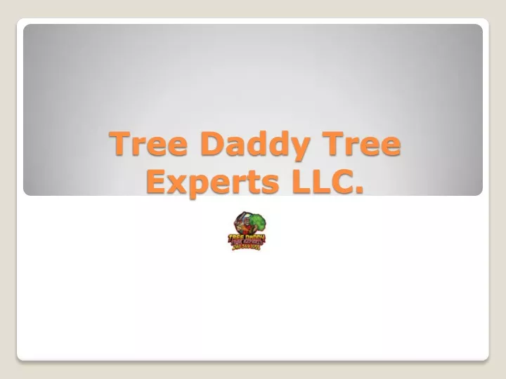 tree daddy tree experts llc