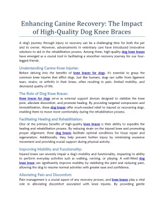 Enhancing Canine Recovery The Impact of High-Quality Dog Knee Braces