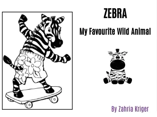 Zebra