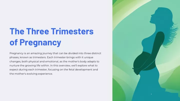 the three trimesters of pregnancy