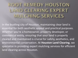 Root Remedy Houston Land Clearing Expert Mulching Services