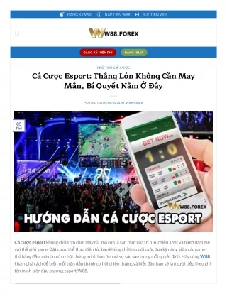 Bí Quyết Chiến Thắng trong Cá Cược Esport: Chiến Lược và Kỹ Năng Cần Biết