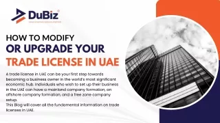 How To Modify Or Upgrade Your Trade License In UAE