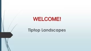 welcome