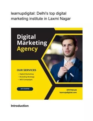 learnupdigital Delhi's top digital marketing institute in Laxmi Nagar