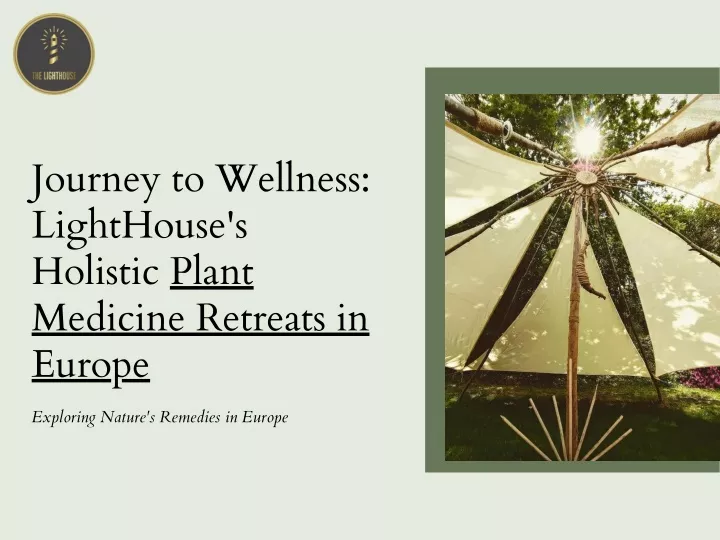 journey to wellness lighthouse s holistic plant