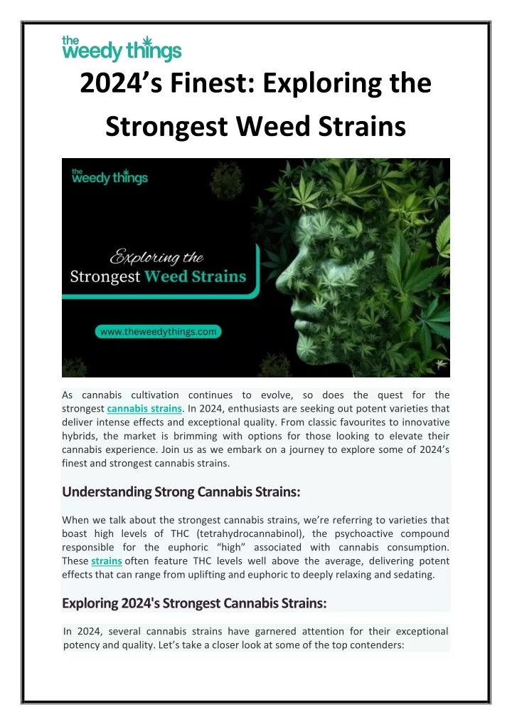 2024 s finest exploring the strongest weed strains