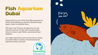 Fish Aquarium Dubai | Famous Pets