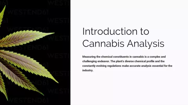 introduction to cannabis analysis