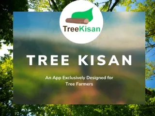 TREEKISAN BP1 (1)