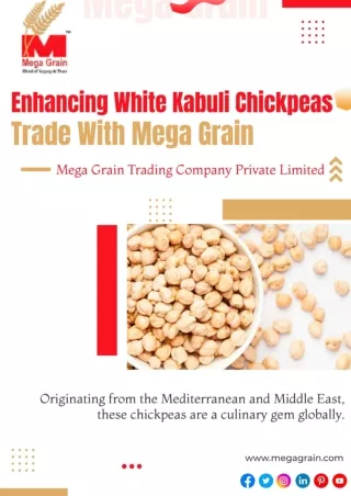 Enhancing White Kabuli Chickpeas Trade With Mega Grain