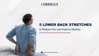 5 Lower Back Stretches to Reduce Pain and Improve Mobility.pptx
